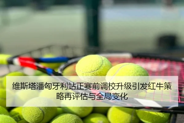 维斯塔潘匈牙利站正赛前调校升级引发红牛策略再评估与全局变化